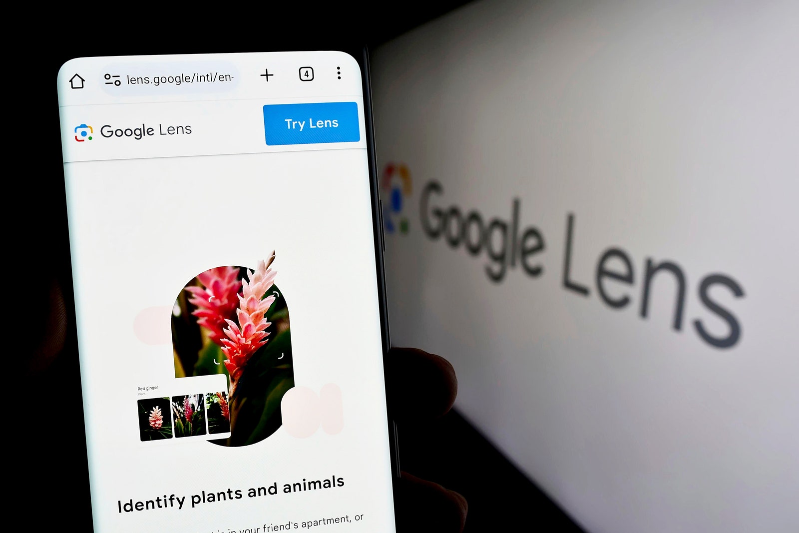 Google’s Visual Search Can Now Answer Even More Complex Questions