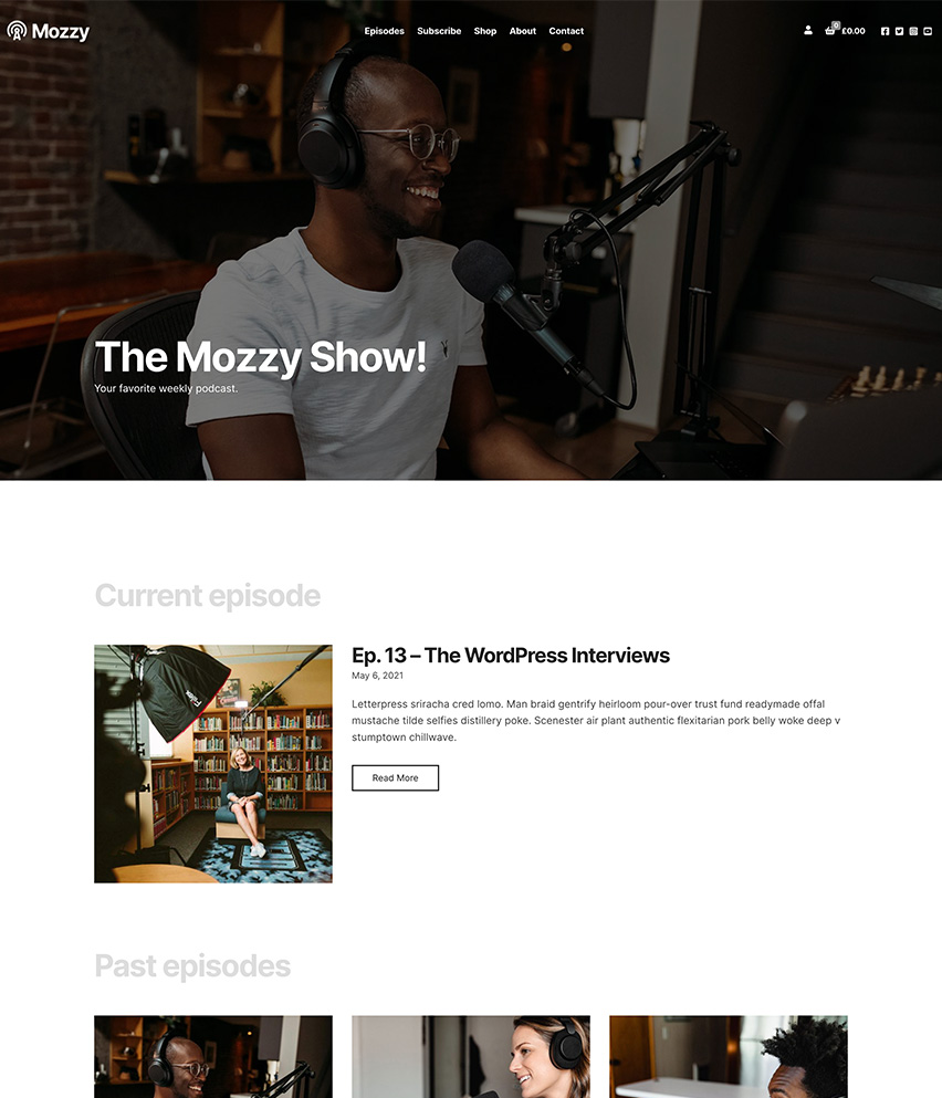 Mozzy WordPress template