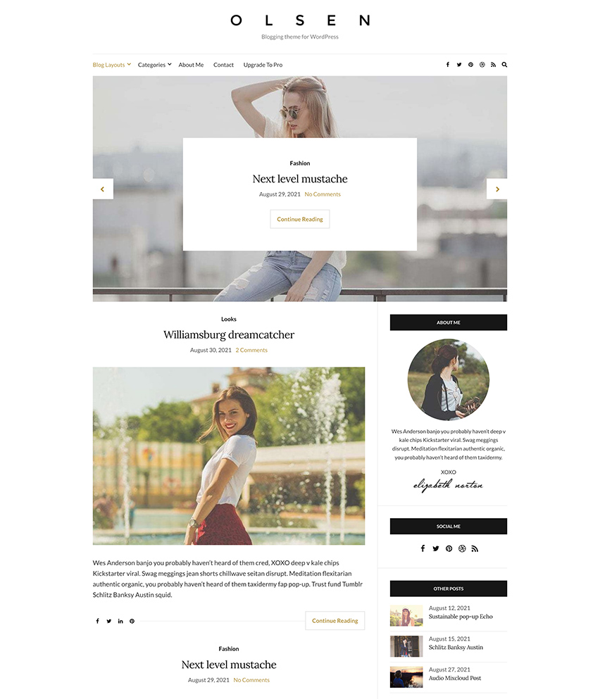 Olsen Light WordPress template