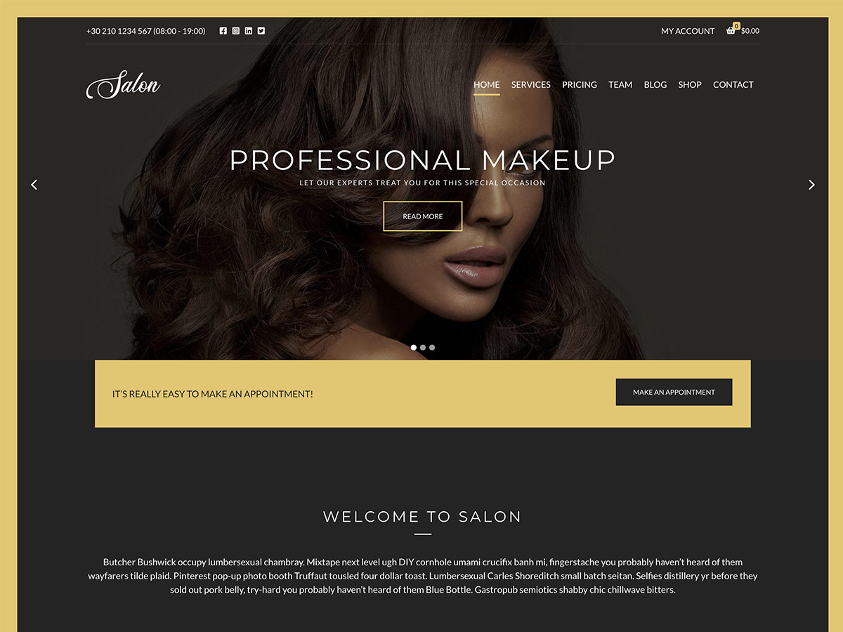 Desktop screenshot of Salon WordPress theme